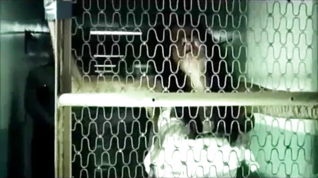 Vynikajúci :  Administratívny pracovník nechce šukat šéfa, ale nemá na výber Videoklip 